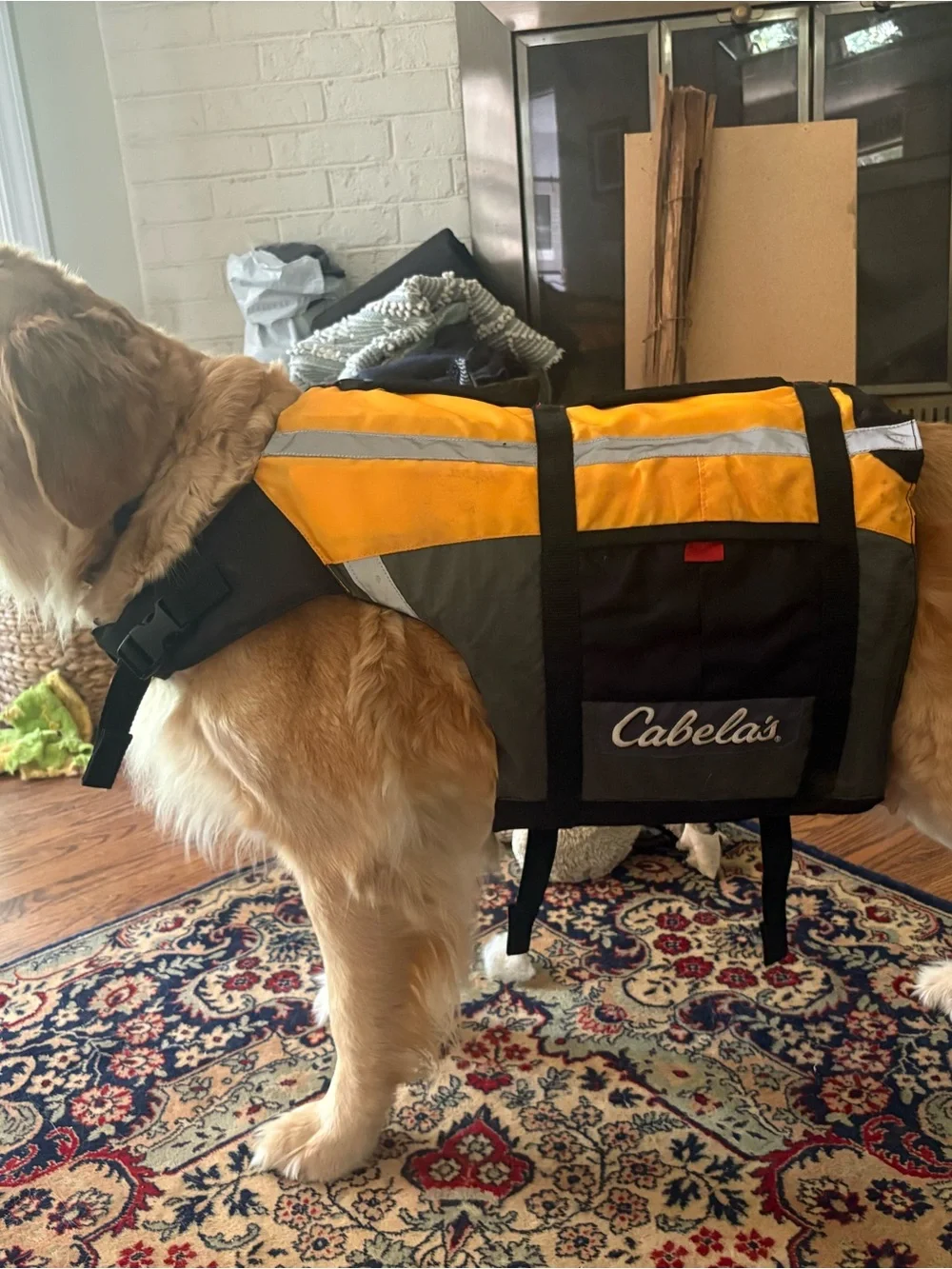 Life Vest / PFD for dogs
